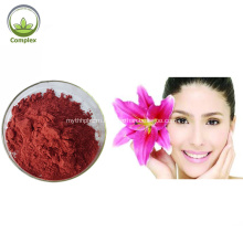 Lycopene 100% Natural Pigment CAS 502-65-8